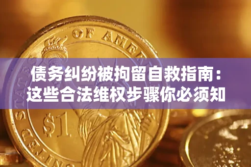 济南债务纠纷被拘留自救指南：这些合法维权步骤你必须知道！