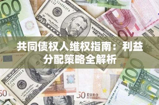 济南共同债权人维权指南：利益分配策略全解析