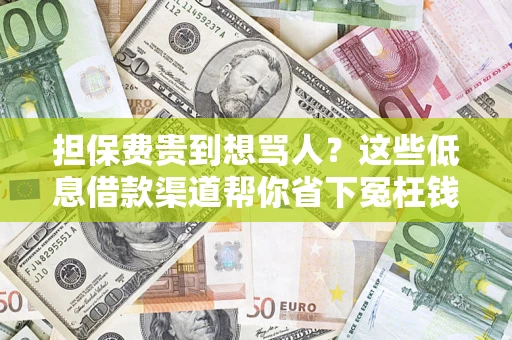 济南担保费贵到想骂人?这些低息借款渠道帮你省下冤枉钱 济南担保费贵到想骂人?这些低息借款渠道帮你省下冤枉钱
