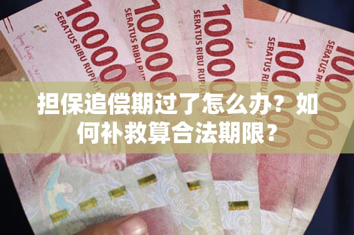 济南担保追偿期过了怎么办？如何补救算合法期限？