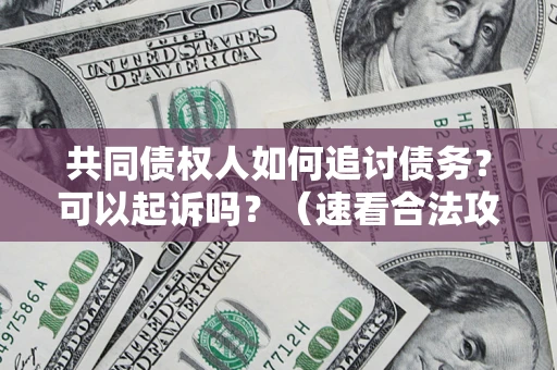 济南共同债权人如何追讨债务？可以起诉吗？（速看合法攻略）